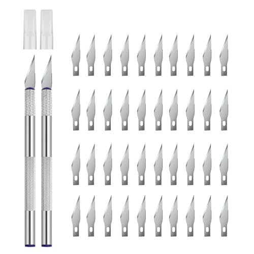 YPYMOD 2 Pièces Précision Cutter Scalpel, Avec 40 Lames, Cutter de Précision Couteau pour Découpe de Travail D'art Bricolage, Spéléologie, Sculpture, Diy...