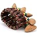 Tomotato African Drum Bracelet, Unique Handmade Nut Shell Percussion Musical Instrument Accessory with Crisp Sounds for Men and Women, for Music Lovers