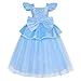 WYB Girls Princess Costume Dresses Blue Princess Dress Up Clothes with Accessories for Halloween Cosplay Carnival Party (4-5 years)
