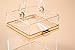 Cute Clear Acrylic Plastic Neon Hard Frame Party Clutch Purse with Gold Chain Strap (Transparent)