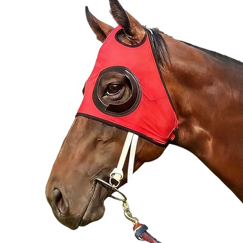 Anteojeras para Caballos - Anteojeras De Malla A Prueba De | Cubierta Ocular De Caballos - para Competición Ecuestre Entrenamiento Equitación Al Aire Libre Deportes Ecuestres