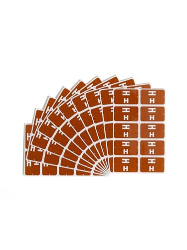Smead AlphaZ ACCS Color-Coded Alphabetic Label, H, Rust Brown, 100 Labels per Pack (67178)