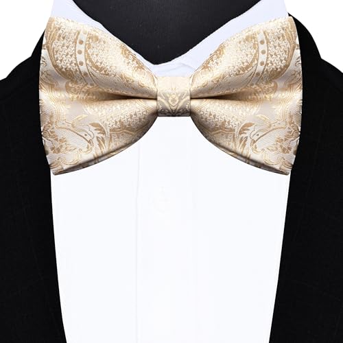 GUSLESON Fashion Vest for Men Paisley Jacquard Tie Waistcoat Bow tie Hanky Lapel Pin Cufflinks Set Wedding 7PCS3