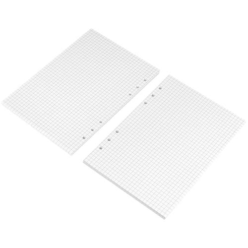 HEIYUET 540 Blätter A5 Papier Kariert, 6 Löch Nachfüllpapier A5 Ringbuch Papier Kariert, a5 Planer Einlagen Nachfülleinlagen Refill Paper für Notizbuch, 6 Löch Ringmappei, Tagbuch