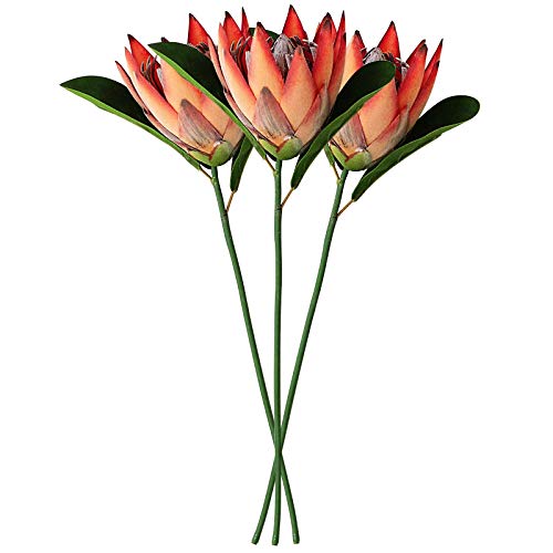 Tinsow Artificial Protea Cynaroides For Flower Arrangements, Faux Protea For Table Decoration Centerpieces, 3 Pieces Silk Protea Bouquet For Wedding (3, Orange) #TOP3