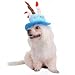 Tinksky Cat Dog Pet Happy Birthday Party Hat with Cake and 5 Colorful Candles Design Cosplay Costume Accessory Headwear (Blue)
