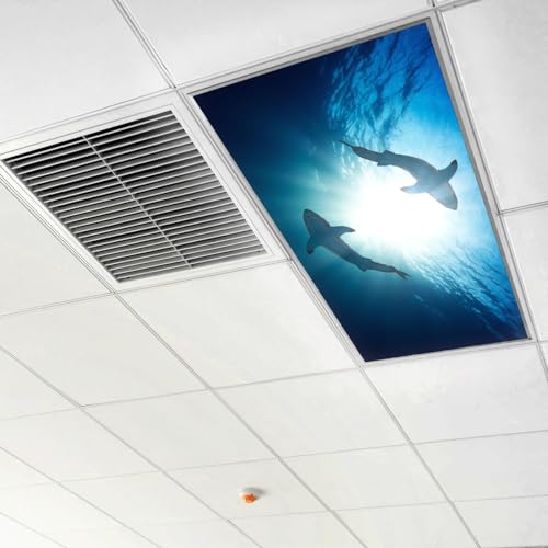 Housse de lumière fluorescente motif requin pour apaiser les classes - 6