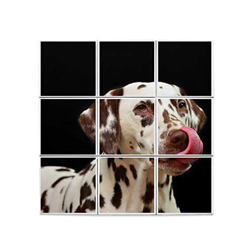 Carreaux céramique dalmatien : tableau mural mignon pour la maison