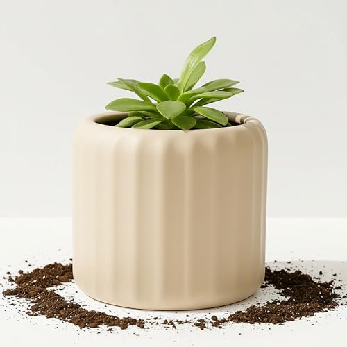 Image of Yo Green Ceramic Indoor/Outdoor Plant Pot - Modern Planter for Home and Office, Durable Ceramic, Stylish Finish with Vertical Ridges, Great Gift Idea (Norway Beige, 4.5 Inches)