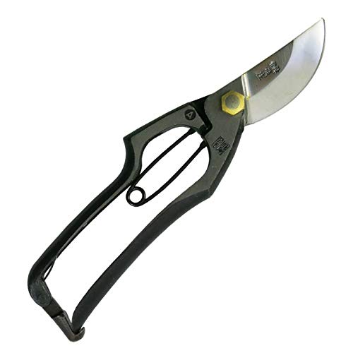   A^ ~ 200mm |͂ b  ː