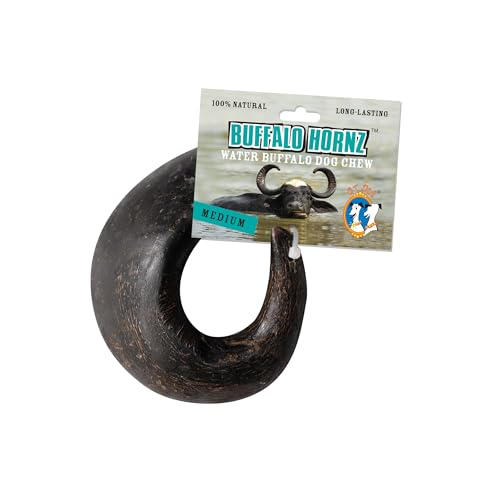 QT Dog Water Buffalo Hornz Treat (1 Each), Medium