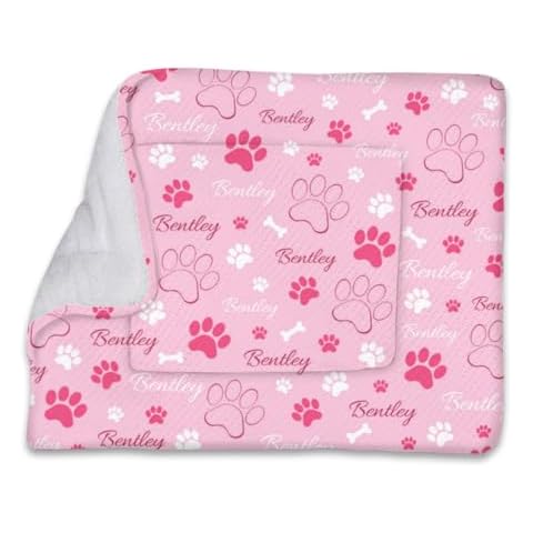 Pet Warm Pad Flannel,Custom Name Pet Pad,Personalized Dog Bed Mat Gifts,Ultra Soft Flannel Pet Bed Mat for Puppy Dog Cat, Dog Crate Mat Kennel Pad for Dog Sleeping,Dog Lover Gift,22 * 28in Cover