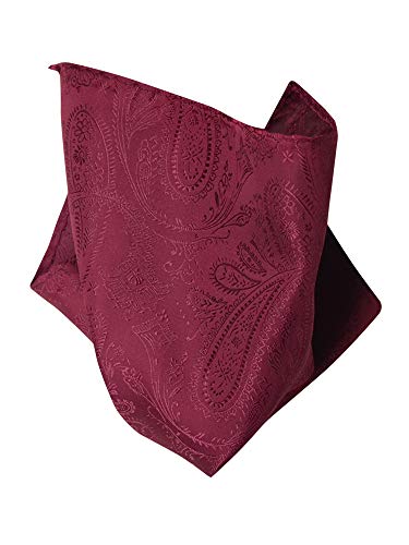 BURGUNDY PAISLEY DESIGN Hankerchief Pocket Square Hanky Men's Handkerchiefs