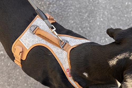 Alpine Belka Harness Gray 3XL