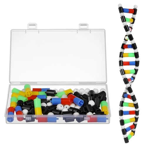 TOYANDONA DNA Model Kit, Twistable DNA Double Helix Structure Model DNA Double Helix Model with Storage Box for School Student Science Teaching Educational Learning