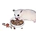Exotic Nutrition Glider Complete 5 lb | Natural Fruit Bits | Sugar Glider Food
