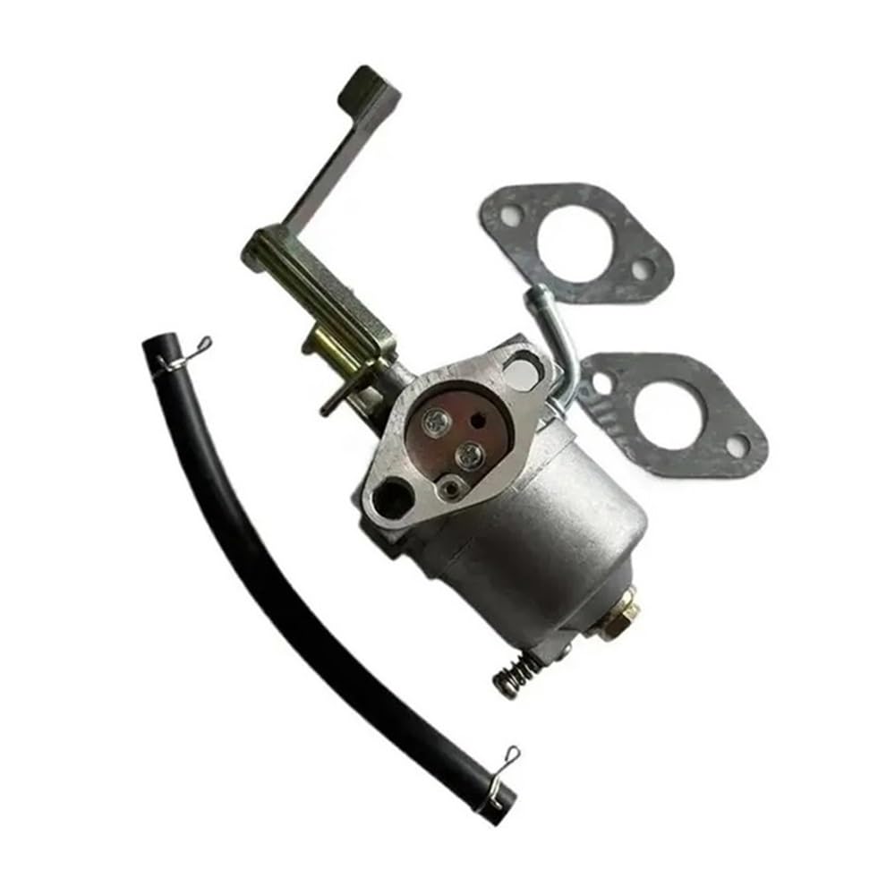 Carburateur avec joint de rechange pour moteur serie APG3006 1050