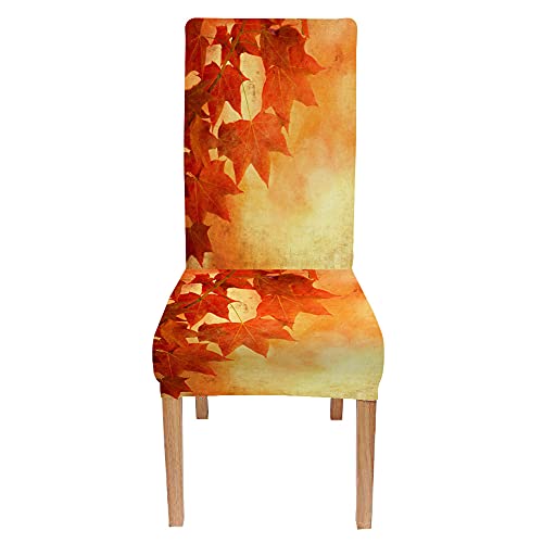 Bisead 20210821248897 Maple Chair Covers Removable Set Of 4 Vintage Dining Chair Slipcovers Yellow Autumn Fall Leaves Brown Decorative Seat Slipcovers thumb #1
