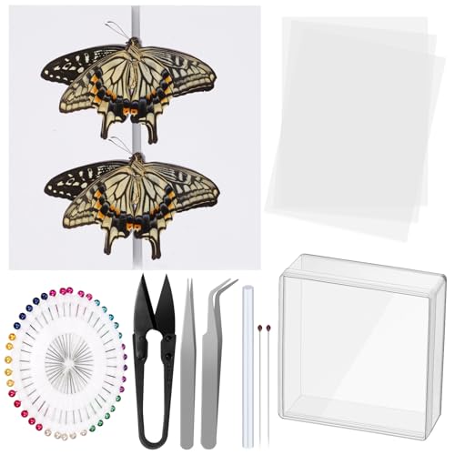Glarks 15pcs Insekt Probe Werkzeug Kit mit 4pcs Schwefelpapier 2pcs Insekt Pins 1pcs heißer Schmelzkleber Stick 1pcs Acryl Display Case 2pcs ungeflügelte Schmetterling Probe 1pcs Spreadfin Board und 4
