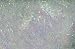Hareline Ice Dub Pearl