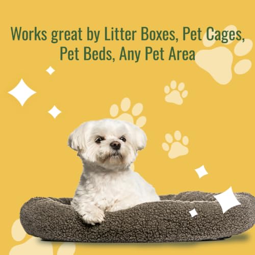 Image of Citrus Magic Pet Solid Air Fresheners, Fresh Citrus, 8 Ounce