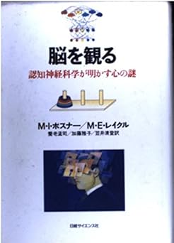 脳を観る