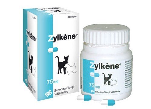Zylkène® 75 mg 30 gélules anti-stress pour chat et petit chien (- 10 kg) Cover