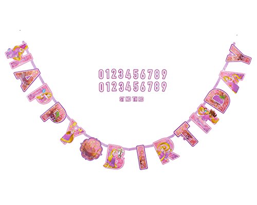 Jumbo Add-an-Age Letter Banner | Disney Rapunzel Dream Big Collection | Birthday