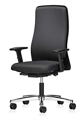 Preisvergleich Produktbild Interstuhl Allround (152) Bürostuhl, Sitz- und Rückenpolster, Autolift-Mechanik