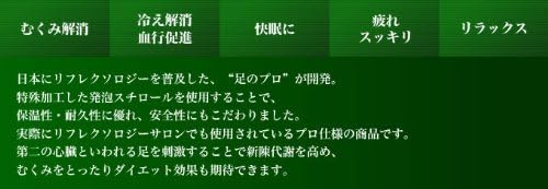 フットバス　リフレクソロジーサロン「クイーンズウェイ」オリジナル プロ仕様