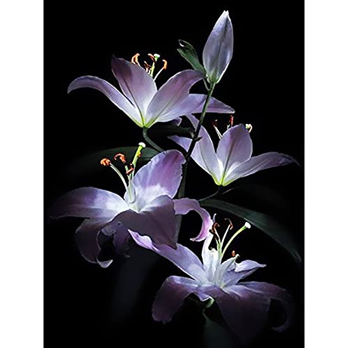 Peinture diamant 5D complet grand format lis broderie point de croix 50x100cm