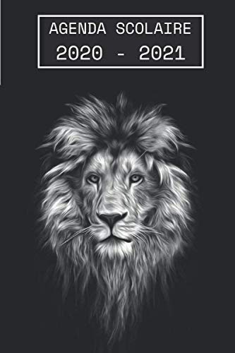 Télécharger Agenda Scolaire 2020 - 2021: Agenda 2020 - 2021 lion - standard Primaire - Collège - Lycée - Etudi Livre eBook France