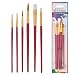 Custom Body Art 6 Piece Nylon Hair Face Painting Brush Set - 4 Round Size 2-4-6-10, 2 Flat Size 8-12
