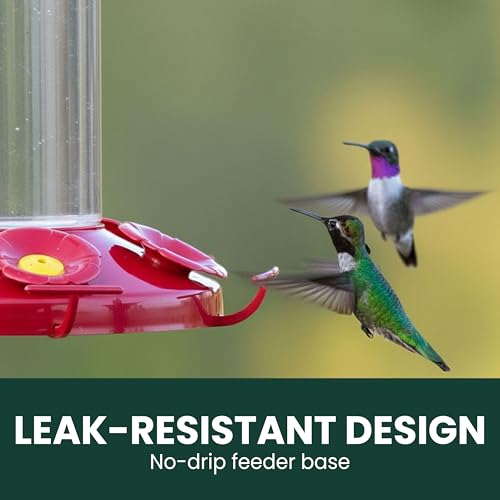Perky-Pet 220 The Grand Master 48-Ounce Hummingbird Feeder by Perky-Pet - Image 8