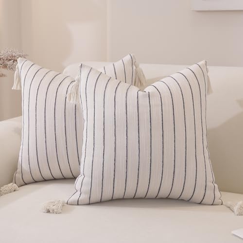 QDTTSRY Decorative Boho Throw Pillow Cover 18x18 Inch Set of 2, Textured Linen Striped Throw Pillows with Tassels, Farmhouse Decor Cushion Covers for Couch Bed Living Room, Dusty Blue