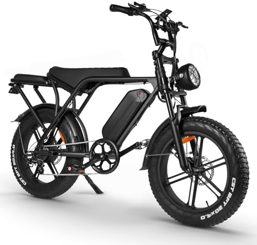 Hipatoo V8 Fat Tire Electric Bike, Electric Mountain Bike with 750W Motor 48V 15Ah Removable Larger Battery, 20” Fat Tire, 31MPH Max Speed, Shimano 7 Speed, Electric Mountain Bike for Adults