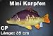 Produktbild Plüschtier Kuscheltier Fisch Karpfen Mini 35cm