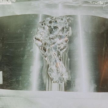 Mosquito (Tzusing Remix) [Explicit]