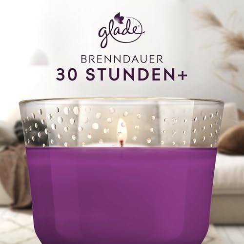 Glade Duftkerze im Glas Velvet Plum 4er Pack 204g