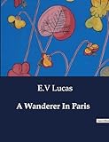 A Wanderer In Paris