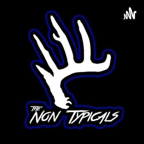 Couverture de The Non-Typicals