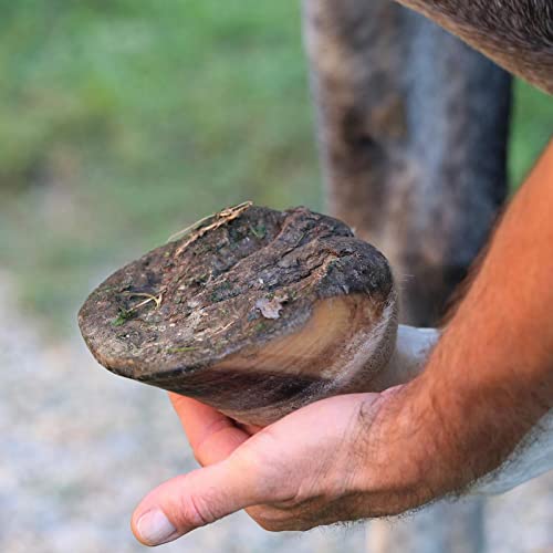 Cepillo de cascos para caballo con mango ergonómico y limpiacascos integrado 5