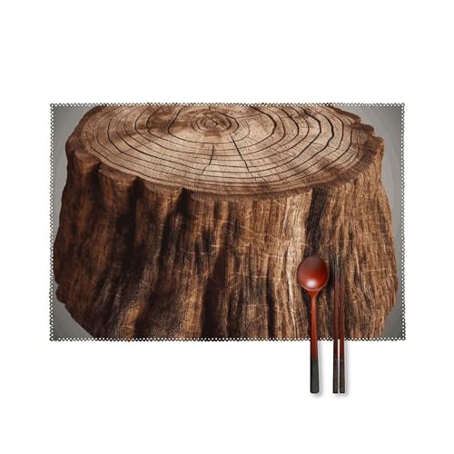 Set de table en toile lavable 45x30cm infroissable lot de 6 - 2