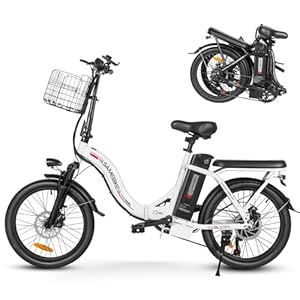 SAMEBIKE Vouwfiets, e-bike, 20 inch elektrische fiets met 36 V/12 Ah afneembare accu, hydraulische rem, voor volwassenen, heren en dames