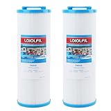 LOIOLFIL 4CH-949, 2 Stück