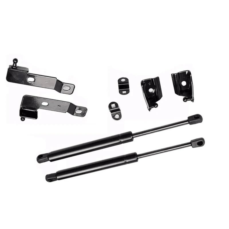 Vérins à gaz de capot avant pour Frontier Navara D40 et Pathfinder R51 de 2004 à 2018
