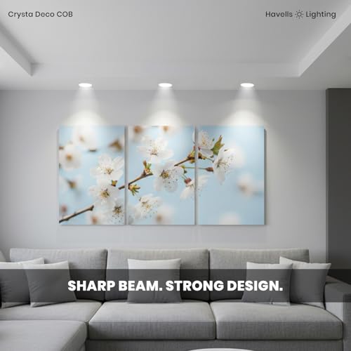 Image of Havells Crysta Deco Cob 18W 6K Silver,Led-Spotlights,Energy Efficient,Long Life of 25000 Burning Hours,Beam Angle of 36,Metal Body Cob with Independent Driver,Cool Daylight (6500K)