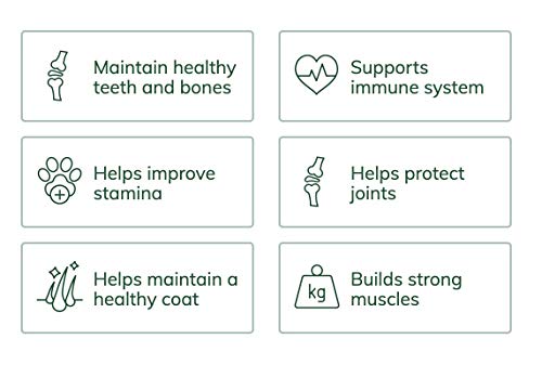 Skinners Field & Trial Salmon & Rice 15kg , Complete Dry Adult Working Dog Food, Gentle Digestion, Glossy Coat - Image 3