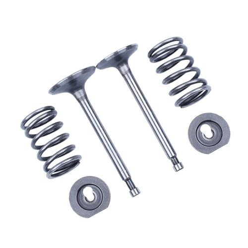 Ressorts de retenue pour entretenir le moteur GX340 GX390 de votre tondeuse