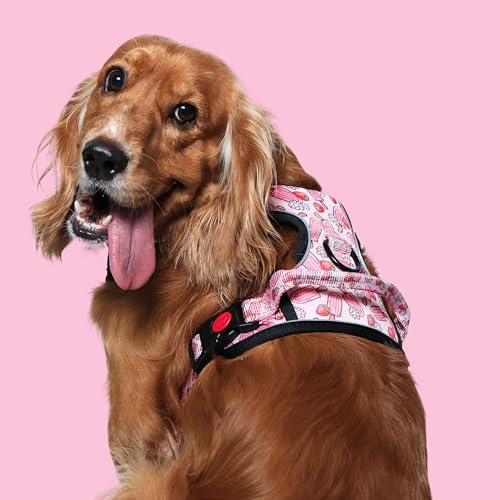 Image of Pupcicle Party No-Pull Dog Harness, M (14-20kg, 22-30 inch)